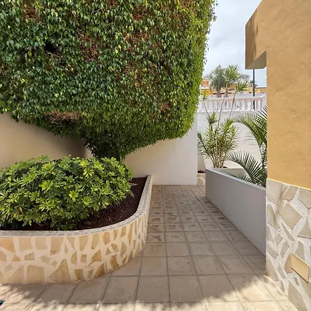 Holabrisas * 阿德耶